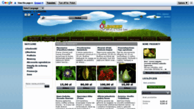 What Oleander.pl website looked like in 2020 (3 years ago)