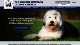 What Oldenglishsheepdogclubofamerica.org website looked like in 2020 (3 years ago)