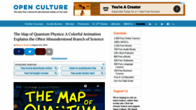 What Oculture.com website looked like in 2020 (3 years ago)