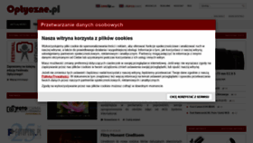 What Optyczne.pl website looked like in 2020 (5 years ago)