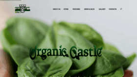 What Organic-castle.com website looked like in 2020 (3 years ago)