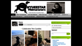 What Owyheestarweimaranersnews.com website looked like in 2020 (3 years ago)