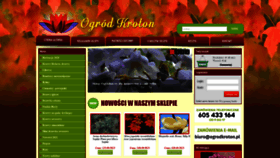 What Ogrodkroton.pl website looked like in 2021 (3 years ago)