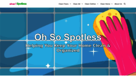 What Ohsospotless.com website looked like in 2021 (3 years ago)