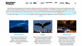 What Oceanlight.com website looked like in 2021 (2 years ago)