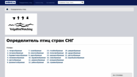 What Onbird.ru website looked like in 2021 (2 years ago)