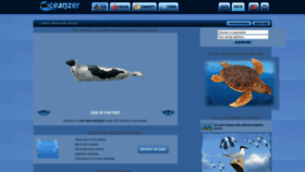 What Oceanzer.us website looked like in 2021 (2 years ago)