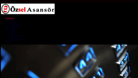 What Ozselasansor.com website looked like in 2021 (2 years ago)