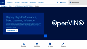 What Openvino.ai website looked like in 2021 (2 years ago)