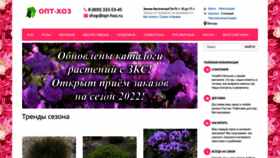 What Opt-hoz.ru website looked like in 2021 (2 years ago)