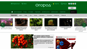 What Ogorod.ru website looked like in 2022 (2 years ago)