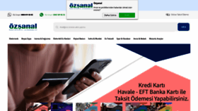 What Ozsanal.com website looked like in 2022 (2 years ago)