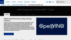 What Openvino.ai website looked like in 2022 (2 years ago)