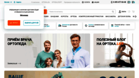 What Orteka.ru website looked like in 2022 (1 year ago)