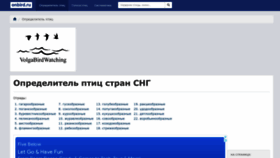 What Onbird.ru website looked like in 2022 (1 year ago)