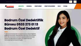 What Ozeldedektiflikburosu.com website looked like in 2022 (1 year ago)