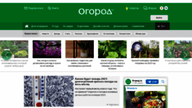 What Ogorod.ru website looked like in 2023 (1 year ago)