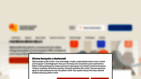 What Onkologia.org.pl website looked like in 2023 (1 year ago)