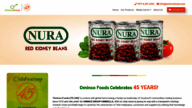 What Omincofoods.com website looked like in 2023 (1 year ago)