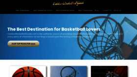 What Outdoorbasketballguide.com website looked like in 2023 (This year)