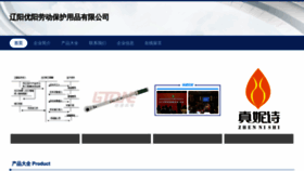 What Ooo-young.com website looked like in 2023 (This year)