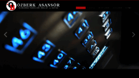 What Ozselasansor.com website looked like in 2023 (This year)