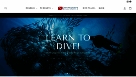 What Oakvilledivers.com website looked like in 2023 (This year)