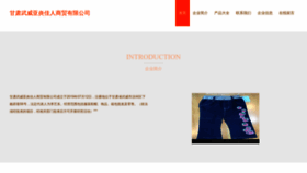 What Ofsd3.cn website looked like in 2023 (This year)
