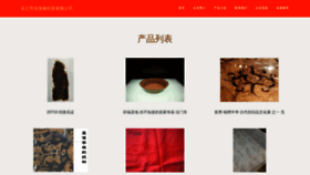 What Obzanrs.cn website looked like in 2023 (This year)