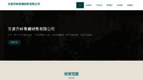 What Ofzijet.cn website looked like in 2023 (This year)