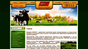 What Olli-yug.ru website looks like in 2024 