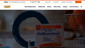 What Oscillo.com website looks like in 2024 