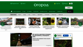 What Ogorod.ru website looks like in 2024 