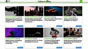 What Otherarticles.com website looked like in 2024 (1 year ago)