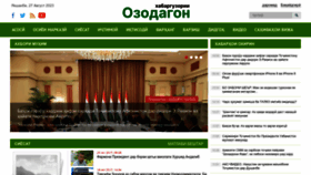 What Ozodagon.com website looks like in 2024 
