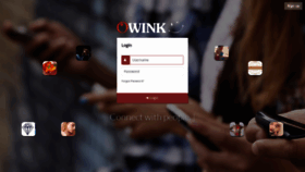 What Owink.com website looks like in 2024 