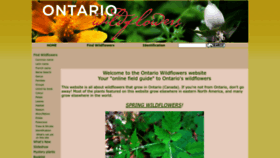What Ontariowildflowers.com website looks like in 2024 