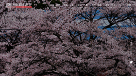 What Okuooi.gr.jp website looked like in 2024 (2 years ago)