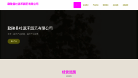 What Onpduut.cn website looks like in 2024 