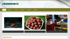 What Osbamvp.cn website looks like in 2024 