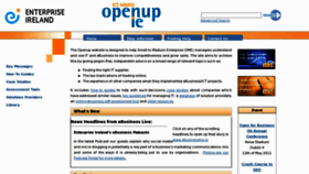 What Openup.ie website looked like in 2011 (12 years ago)