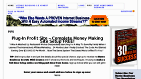 What Piprofit.com website looked like in 2011 (13 years ago)