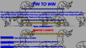 What Pintowin.com website looked like in 2012 (11 years ago)