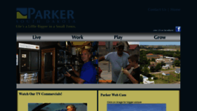 What Parkersd.org website looked like in 2013 (11 years ago)