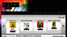 What Pylki.com website looked like in 2013 (11 years ago)