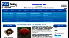 What Publiconline.ro website looked like in 2013 (11 years ago)