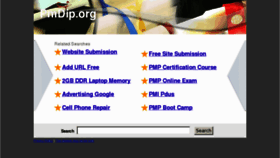 What Pmdip.org website looked like in 2013 (10 years ago)