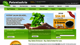 What Potentsalvia.com website looked like in 2013 (10 years ago)