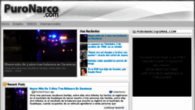 What Puronarco.com website looked like in 2013 (10 years ago)