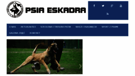 What Psiaeskadra.pl website looked like in 2014 (9 years ago)